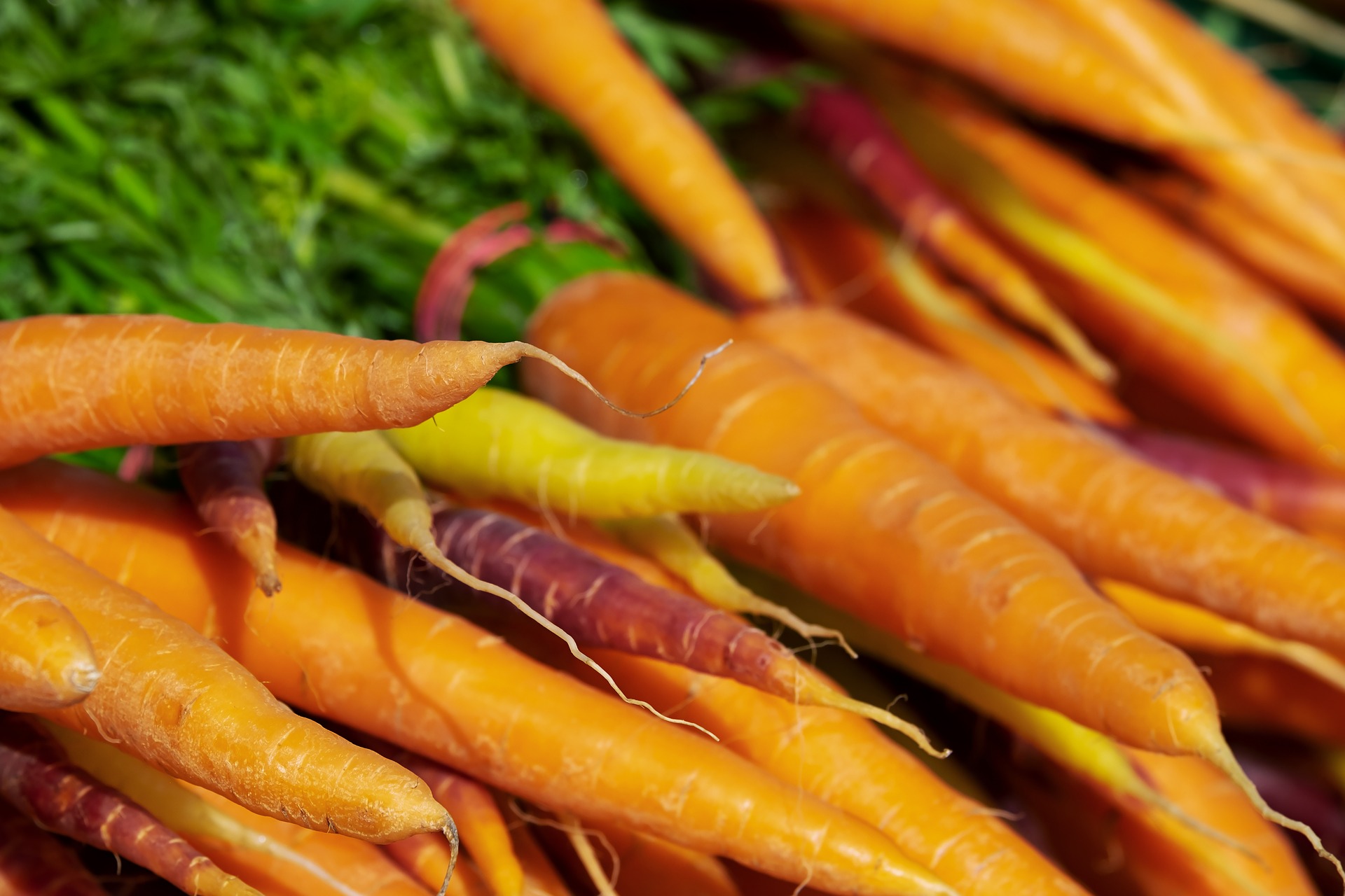 Carrots Vitamin A