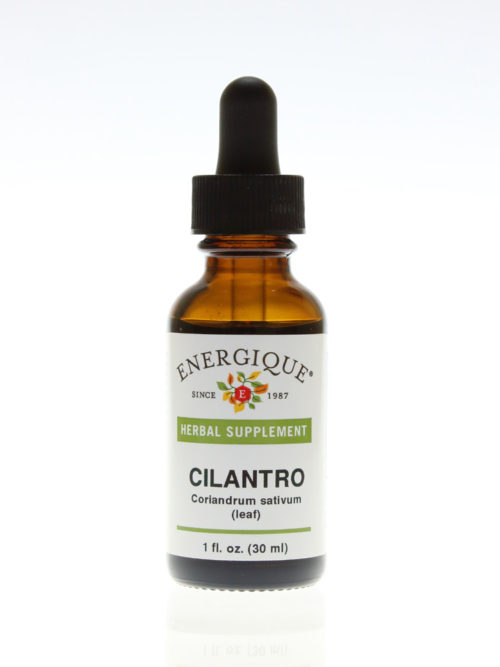 Cilantro