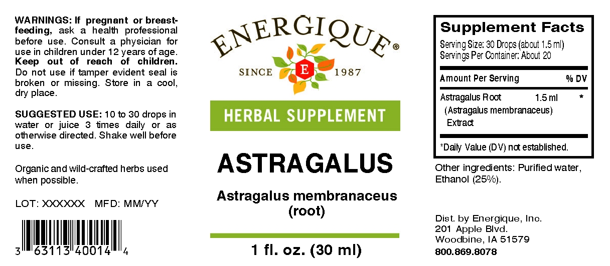 Astragalus EnergiquePro