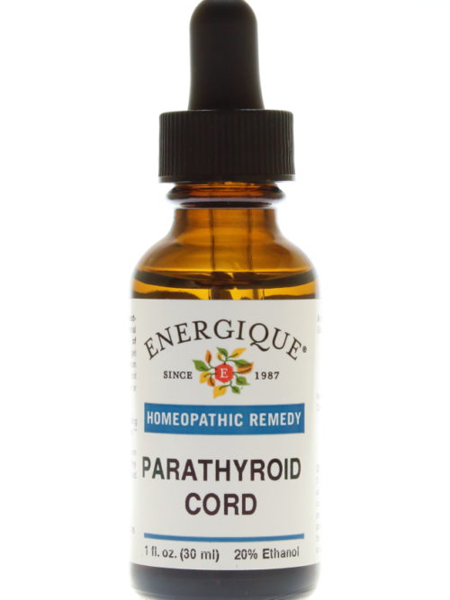 Parathyroid Cord